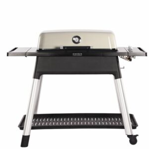 Everdure Furnace stone 1