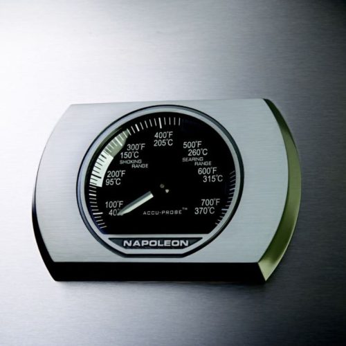 Prestige_PRO500_termometru_details Prestige_PRO500_termometru_details